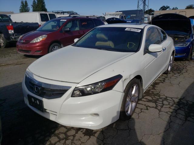 1HGCS2B80CA003017 - 2012 HONDA ACCORD EXL WHITE photo 2