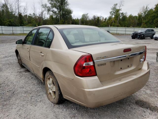 1G1ZT52805F203790 - 2005 CHEVROLET MALIBU LS TAN photo 3