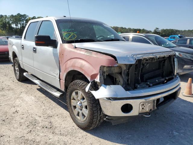 1FTFW1ET5BKE13640 - 2011 FORD F150 SUPER SILVER photo 1