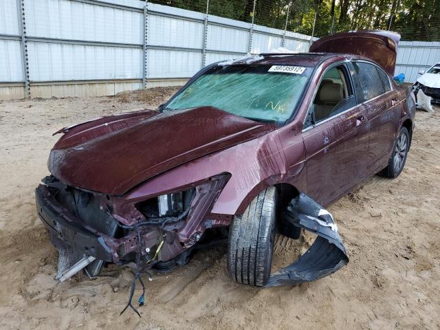 1HGCP2F82BA084404 - 2011 HONDA ACCORD EXL BURGUNDY photo 2