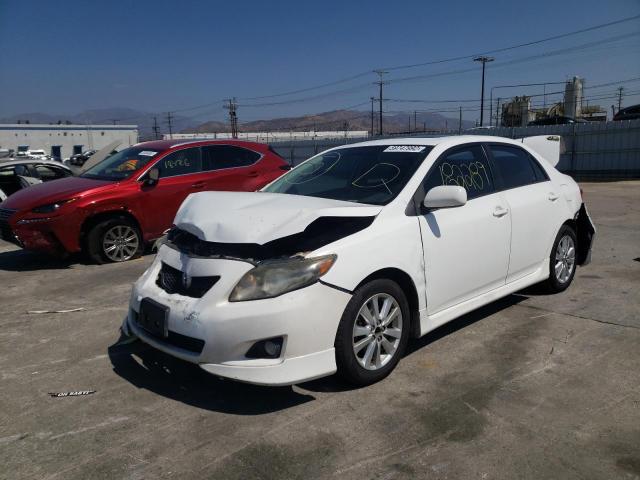 1NXBU4EEXAZ322840 - 2010 TOYOTA COROLLA BASE  photo 2