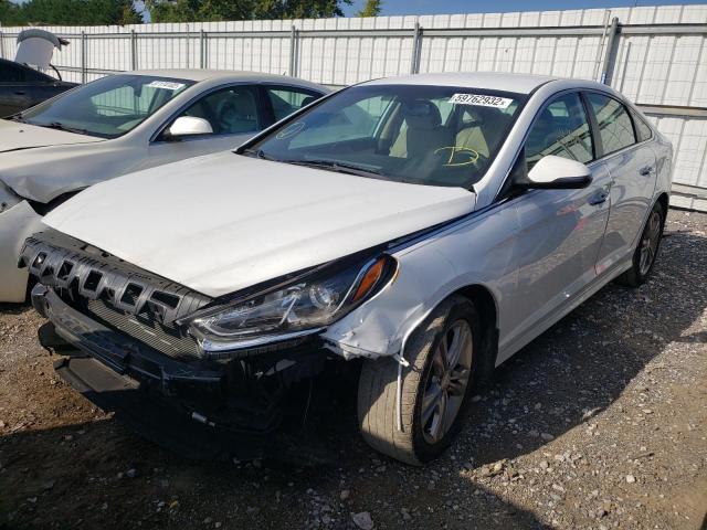 5NPE34AF0KH771801 - 2019 HYUNDAI SONATA LIM WHITE photo 2