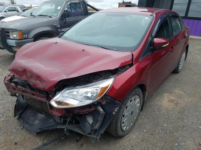 1FADP3F28DL268506 - 2013 FORD FOCUS SE 4 RED photo 2