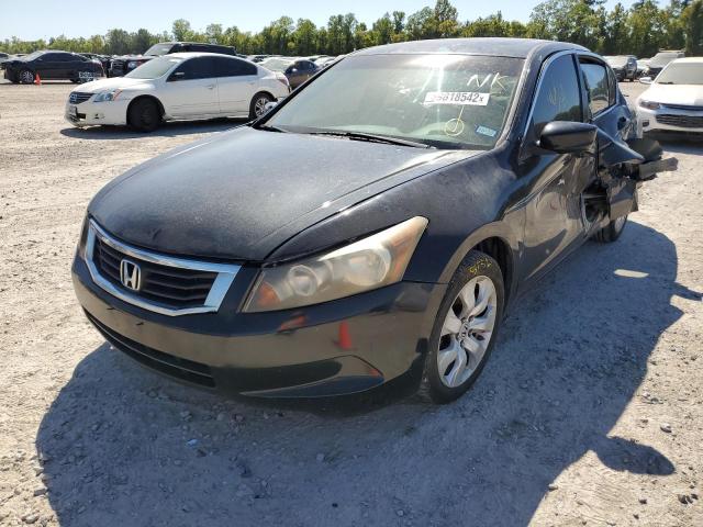 JHMCP26868C062562 - 2008 HONDA ACCORD EXL BLACK photo 2