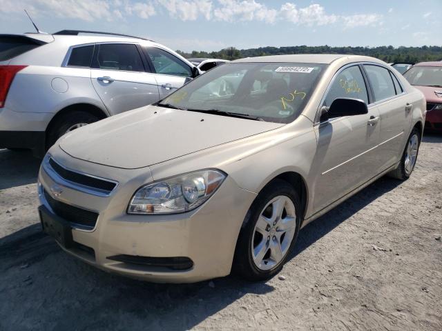 1G1ZB5E17BF103702 - 2011 CHEVROLET MALIBU LS GOLD photo 2