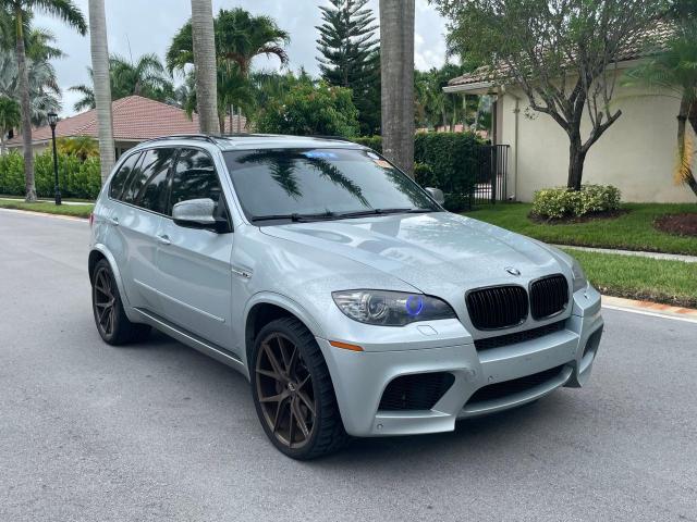 5YMGY0C50ALK25282 - 2010 BMW X5 M SILVER photo 1