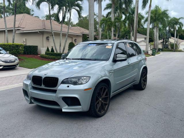 5YMGY0C50ALK25282 - 2010 BMW X5 M SILVER photo 2