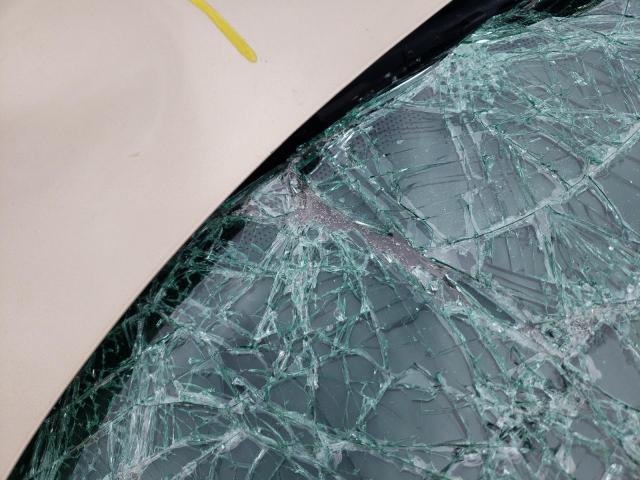 2G2WS522041312723 - 2004 PONTIAC GRAND PRIX Թուխ լուսանկար 10