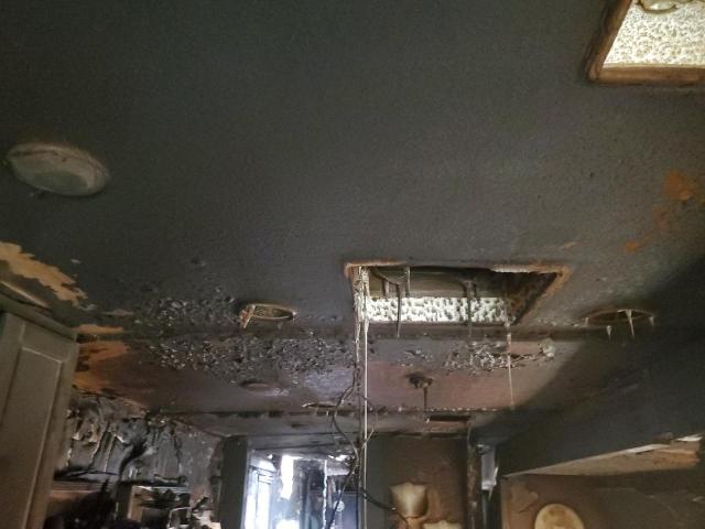 4UZACJDT3ACAS4362 - 2010 FREIGHTLINER CHASSIS XC ორფეროვანი ფოტო 9