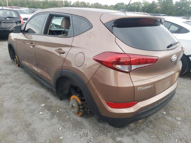 KM8J23A48HU409929 - 2017 HYUNDAI TUCSON SE BROWN photo 3