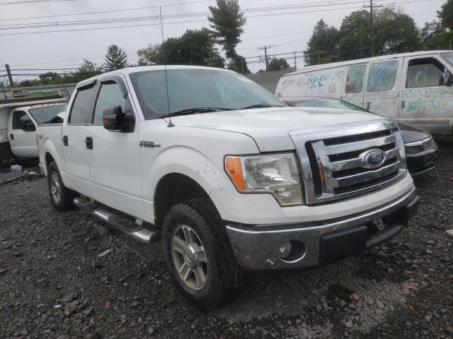 1FTEW1E87AFB03195 - 2010 FORD F150 SUPER WHITE photo 1