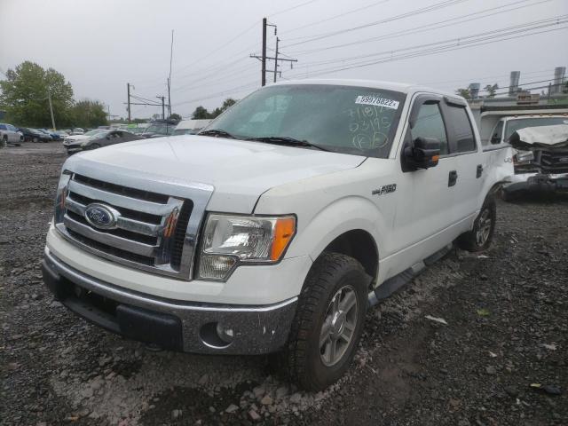 1FTEW1E87AFB03195 - 2010 FORD F150 SUPER WHITE photo 2