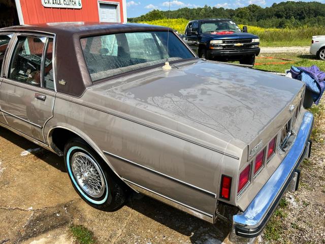 2G1AN69N6D1204831 - 1983 CHEVROLET CAPRICE CL TAN photo 3