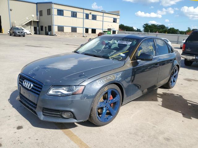 WAUKFAFL7AN023369 - 2010 AUDI A4 PRESTIG GRAY photo 2