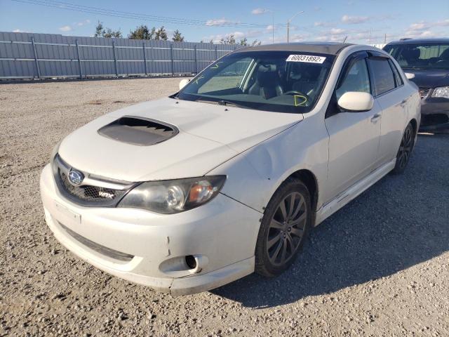 JF1GE7G61AG512996 - 2010 SUBARU IMPREZA WR WHITE photo 2