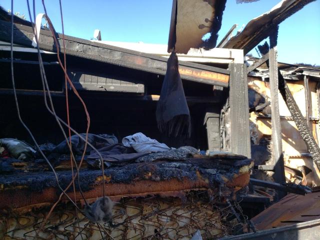 1RF42464X62040282 - 2006 ROADMASTER RAIL MONOCOQUE Qəhvəyi foto 6