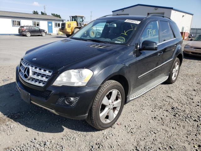 4JGBB8GB8BA663589 - 2011 MERCEDES-BENZ ML 350 4MATIC  photo 2