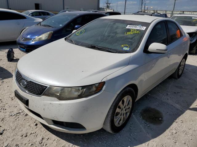 KNAFU4A26B5448445 - 2011 KIA FORTE EX WHITE photo 2