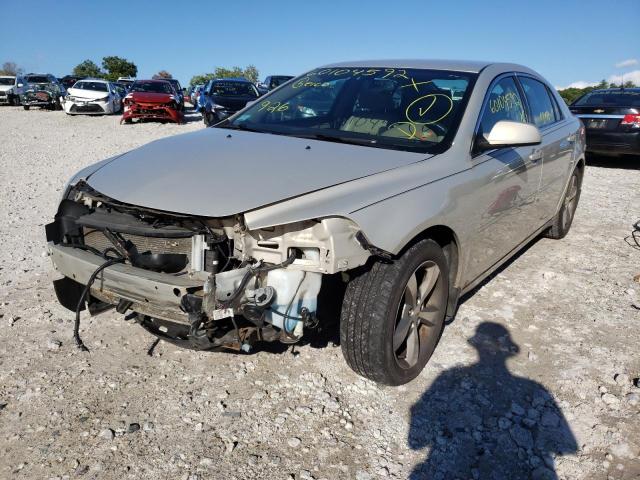 1G1ZJ57B39F249971 - 2009 CHEVROLET MALIBU 2LT GOLD photo 2