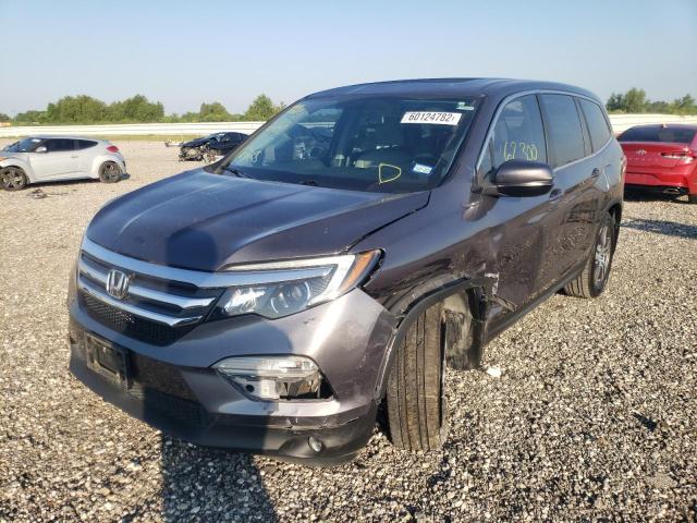 5FNYF5H71GB022682 - 2016 HONDA PILOT EXLN GRAY photo 2