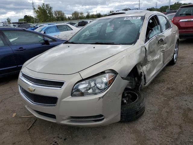 1G1ZH57B79F258037 - 2009 CHEVROLET MALIBU 1LT GOLD photo 2