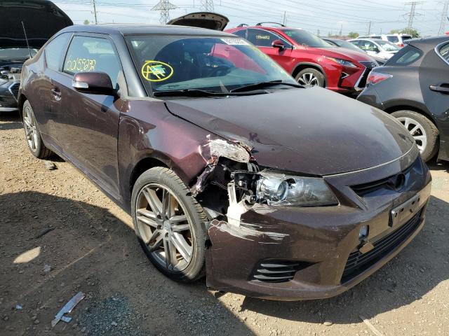 JTKJF5C78D3063983 - 2013 TOYOTA SCION TC 勃艮第红 照片 1