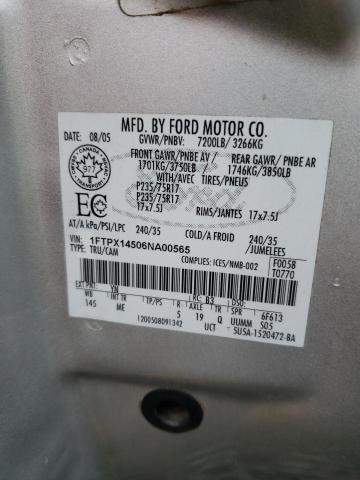 1FTPX14506NA00565 - 2006 FORD F150 SILVER photo 10