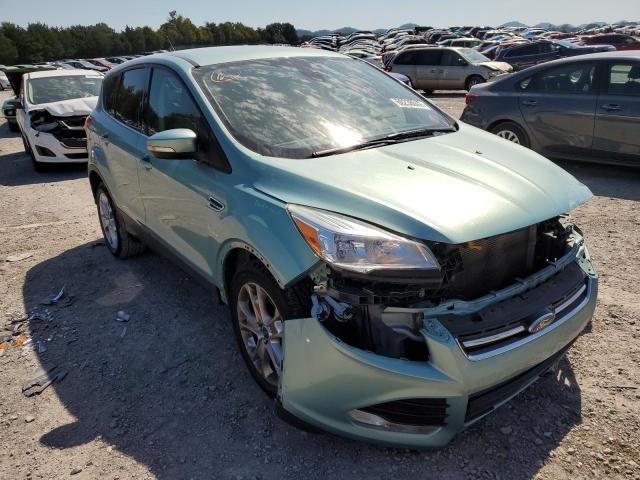 1FMCU0HXXDUD49499 - 2013 FORD ESCAPE SEL BLUE photo 1