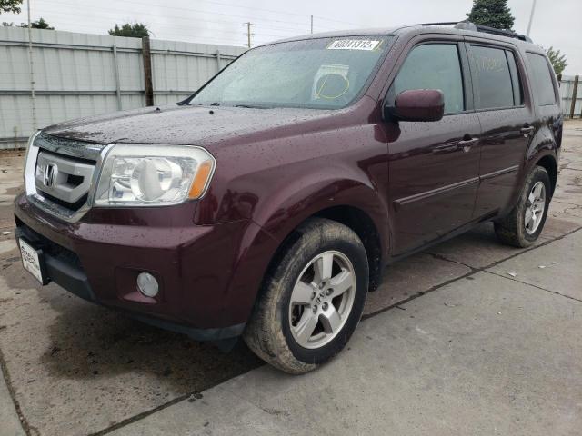 5FNYF4H46BB011377 - 2011 HONDA PILOT MAROON photo 2