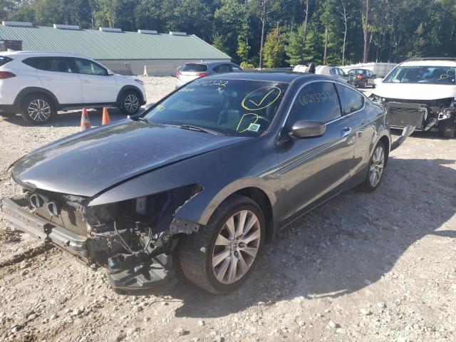 1HGCS2B89AA010481 - 2010 HONDA ACCORD EXL 灰色 照片 2