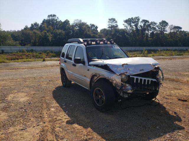 1J4GL38KX3W634568 - 2003 JEEP LIBERTY RE SILVER photo 1