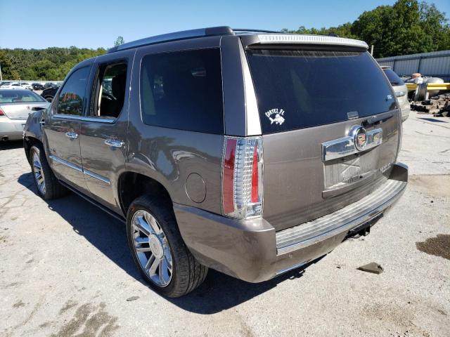 1GYS4DEF3ER181366 - 2014 CADILLAC ESCALADE P TAN photo 3