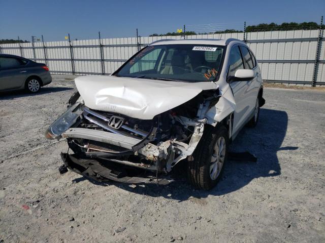 5J6RM4H7XEL057827 - 2014 HONDA CR-V EXL WHITE photo 2