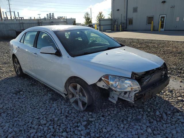 1G1ZC5E1XBF379885 - 2011 CHEVROLET MALIBU 1LT თეთრი ფოტო 1