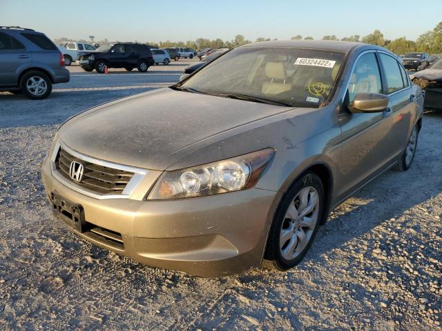 JHMCP26819C010886 - 2009 HONDA ACCORD EXL BEIGE photo 2