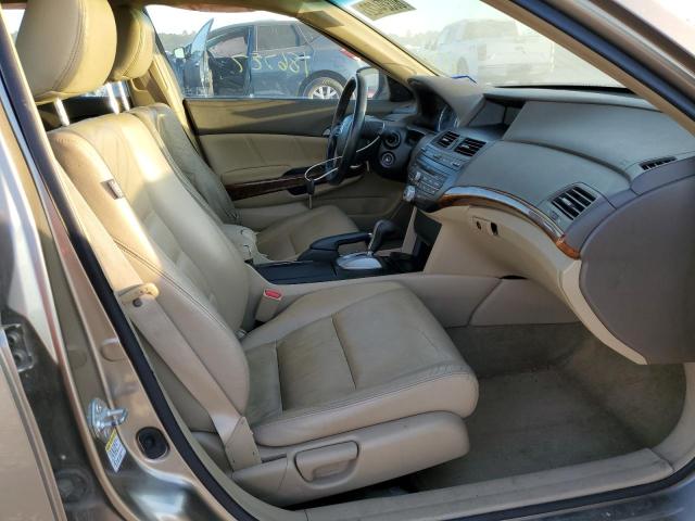 JHMCP26819C010886 - 2009 HONDA ACCORD EXL BEIGE photo 5