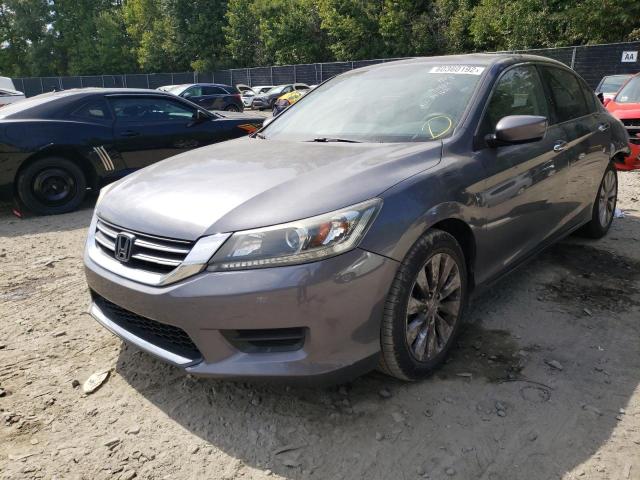 1HGCR2F33FA251681 - 2015 HONDA ACCORD GRAY photo 2