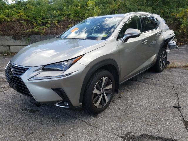 JTJGARDZ2L5007920 - 2020 LEXUS NX 300 GRAY photo 2