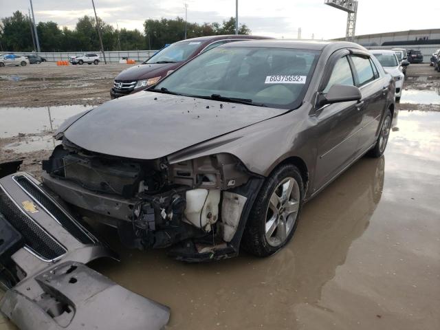 1G1ZC5EBXAF101916 - 2010 CHEVROLET MALIBU 1LT BROWN photo 2