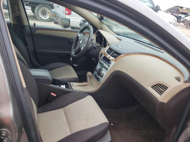 1G1ZC5EBXAF101916 - 2010 CHEVROLET MALIBU 1LT BROWN photo 5