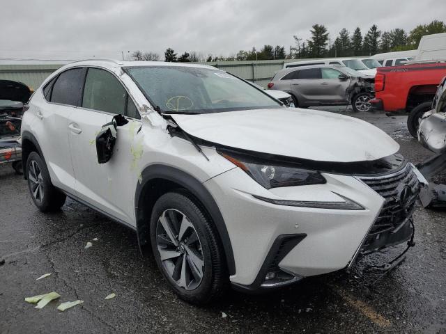 JTJGARDZ1M5020370 - 2021 LEXUS NX 300 BAS 白色 照片 1