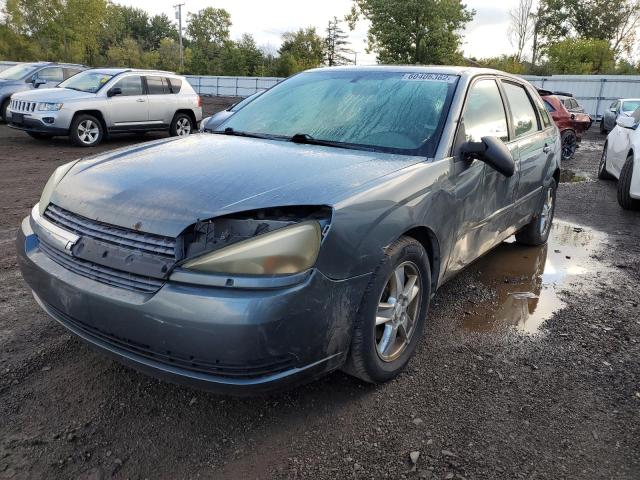 1G1ZT62895F118517 - 2005 CHEVROLET MALIBU MAX GRAY photo 2