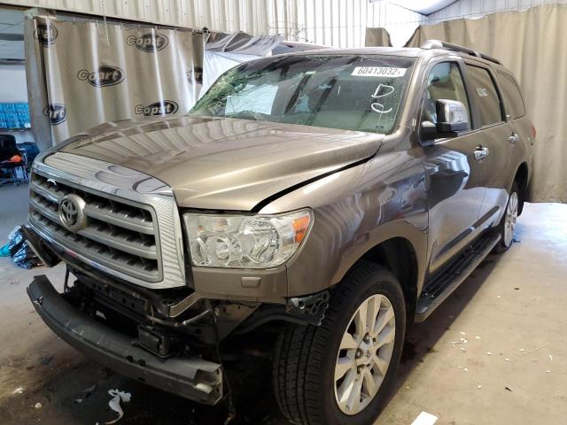 5TDYY5G17BS035447 - 2011 TOYOTA SEQUOIA PL TAN photo 2