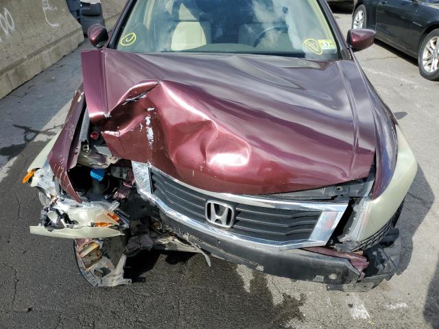 1HGCP26328A089003 - 2008 HONDA ACCORD LX MAROON photo 7