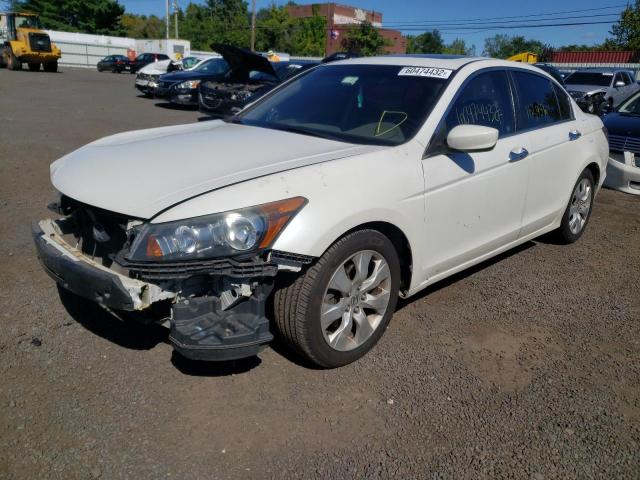 5KBCP3F80AB002133 - 2010 HONDA ACCORD LX WHITE photo 2