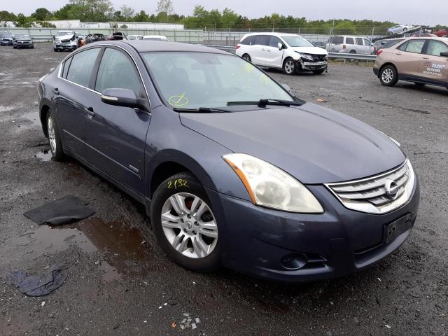 1N4CL2AP2AC177232 - 2010 NISSAN ALTIMA HYBRID  photo 1