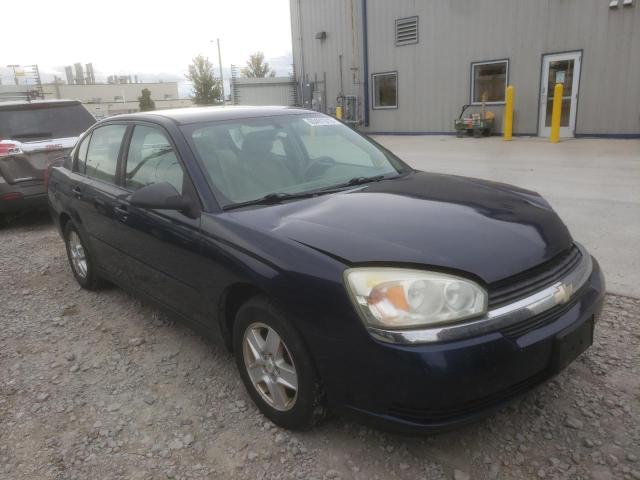 1G1ZT54894F145609 - 2004 CHEVROLET MALIBU LS BLUE photo 1