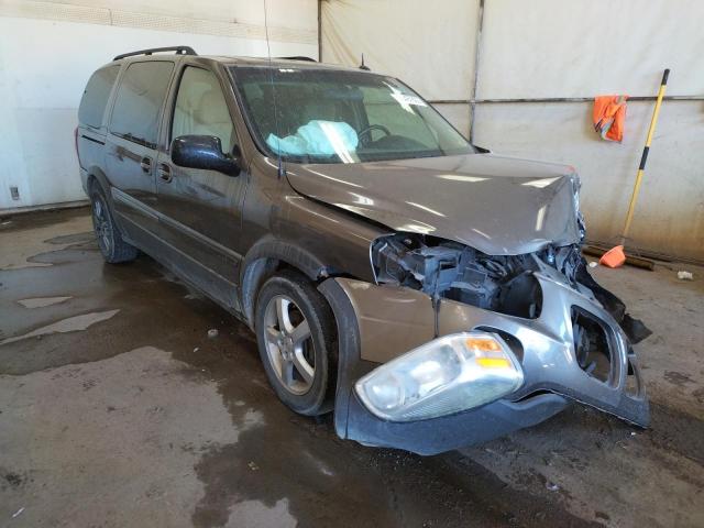 1GMDV03L15D221059 - 2005 PONTIAC MONTANA SV GRAY photo 1