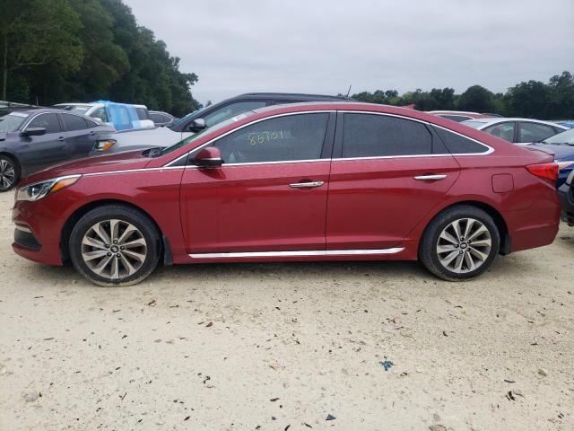 5NPE34AF4GH379976 - 2016 HYUNDAI SONATA SPO RED photo 9