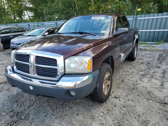 1D7HW48N15S320261 - 2005 DODGE DAKOTA QUA BROWN photo 2